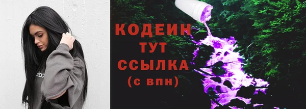 хмурый Арсеньев