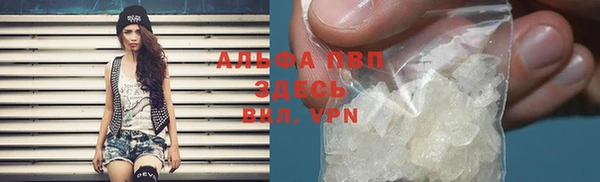 хмурый Арсеньев