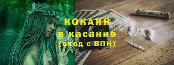 хмурый Арсеньев