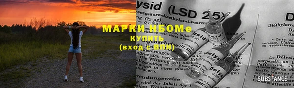 хмурый Арсеньев