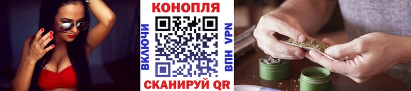 Бошки Шишки White Widow  Купить  Старый Крым 